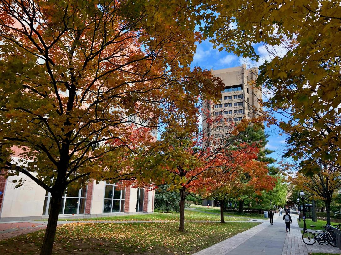 Fine Hall in the fall